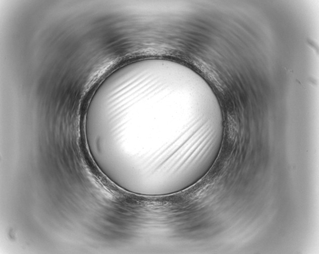 X0000093160486200710241023
