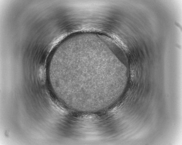 X0000093160488200710241023