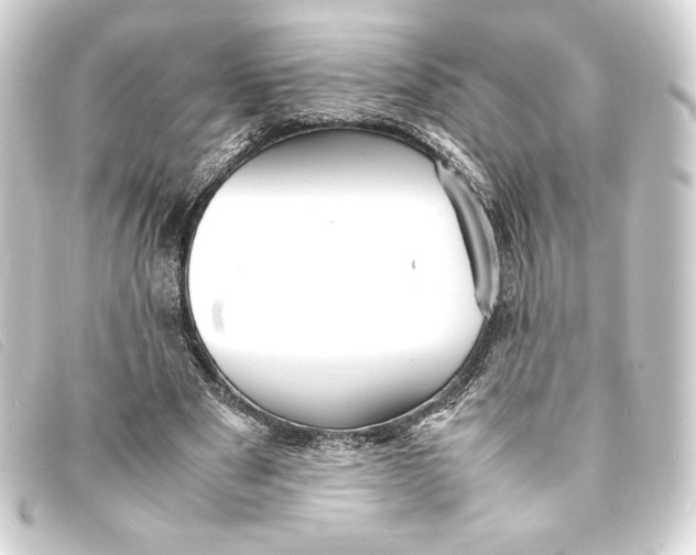 X0000093160489200710241023