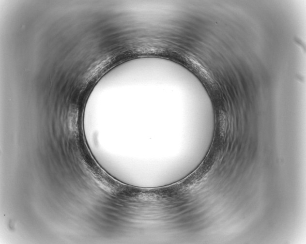 X0000093160490200710241023
