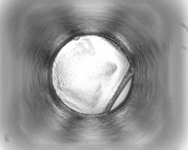 X0000093160491200710241023