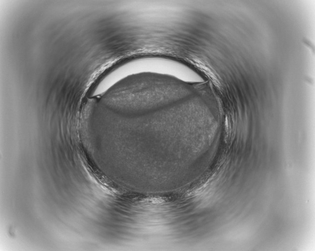 X0000093160492200710241023
