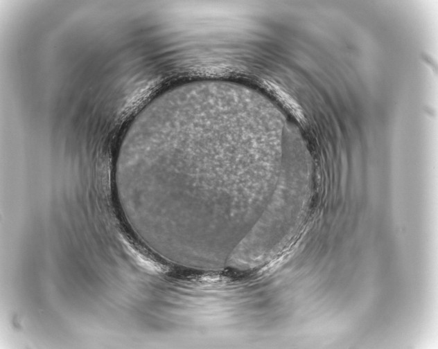 X0000093160493200710241023