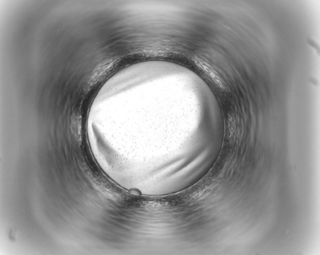 X0000093160494200710241023
