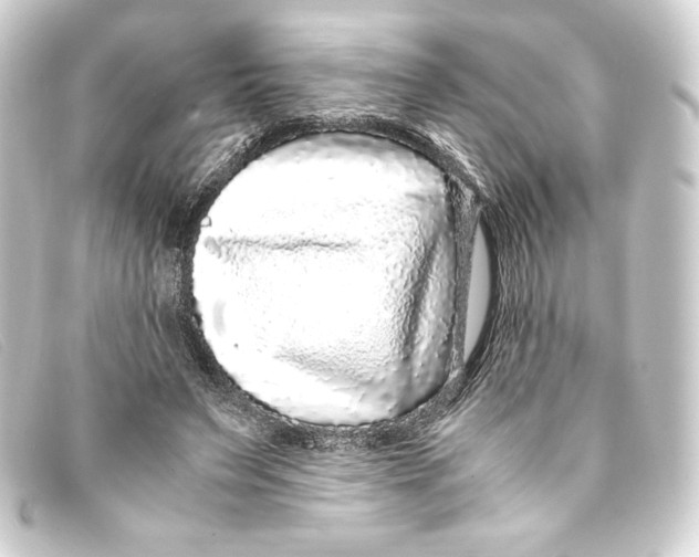X0000093160495200710241023