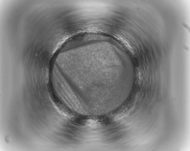 X0000093160496200710241023