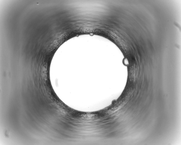 X0000093160497200710241023