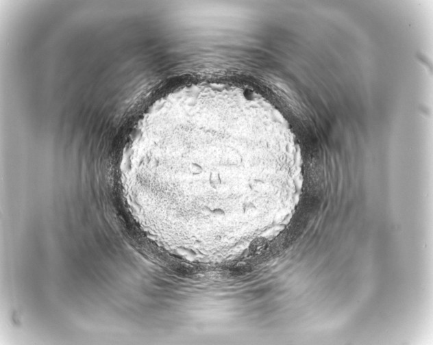 X0000093160499200710241023