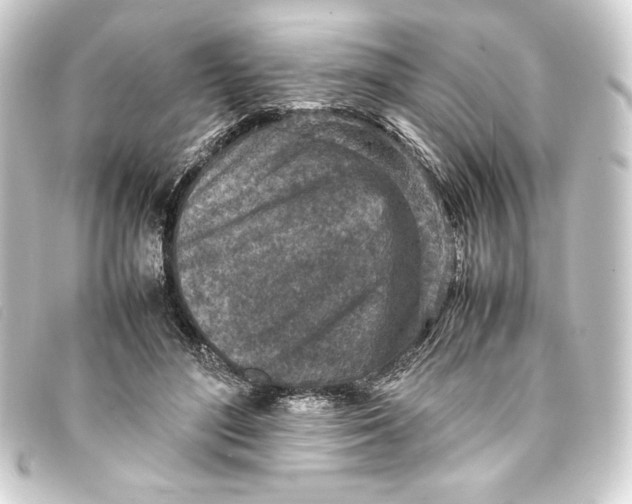 X0000093160500200710241023