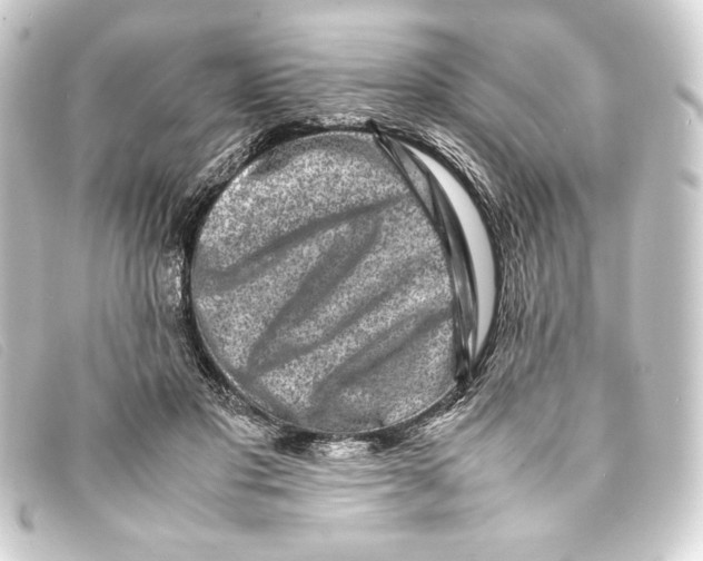 X0000093160501200710241023