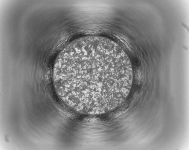 X0000093160503200710241023