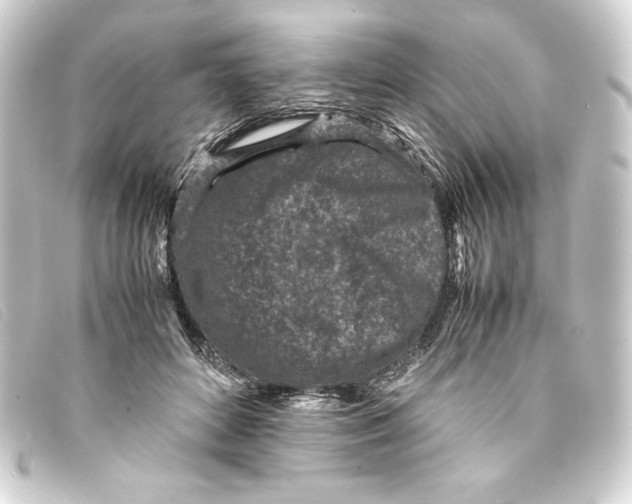 X0000093160504200710241023