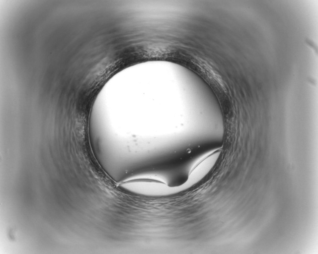 X0000093160505200710241023