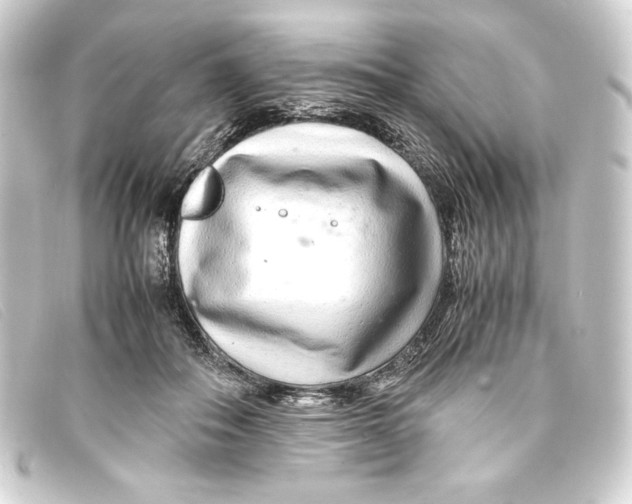 X0000093160506200710241023