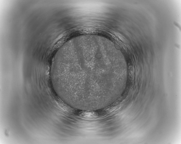 X0000093160507200710241023