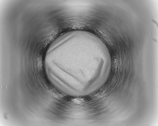 X0000093160508200710241023