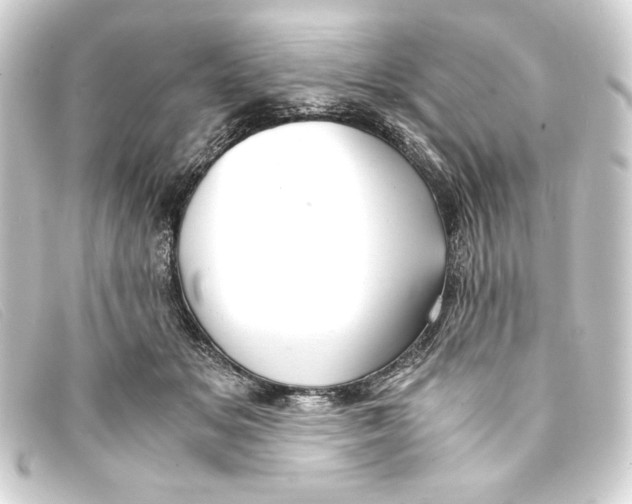 X0000093160509200710241023