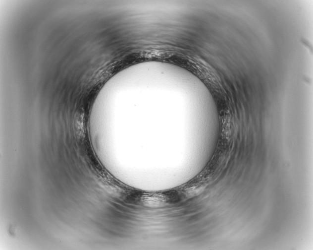 X0000093160510200710241023