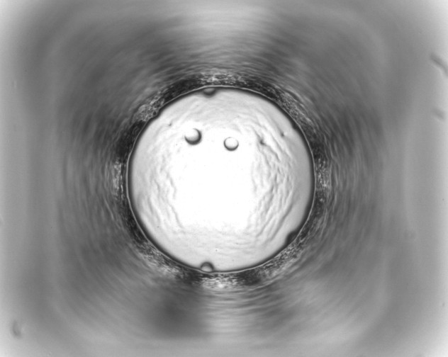 X0000093160511200710241023