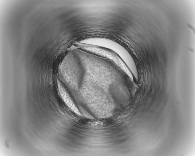 X0000093160512200710241023