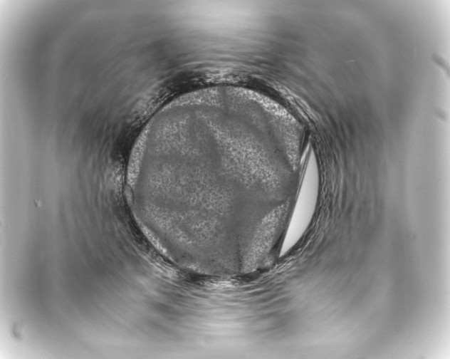 X0000093160513200710241023