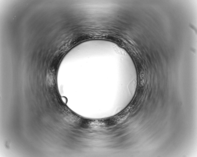 X0000093160515200710241022