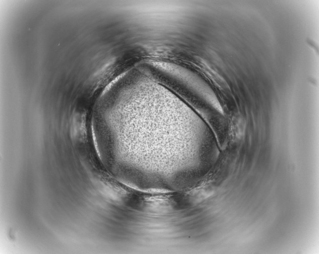 X0000093160516200710241022
