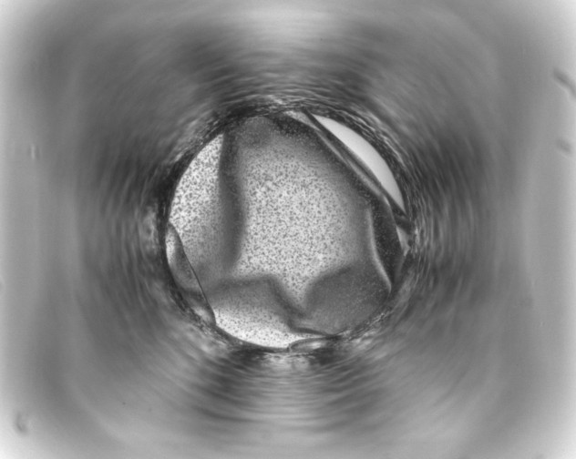 X0000093160520200710241022