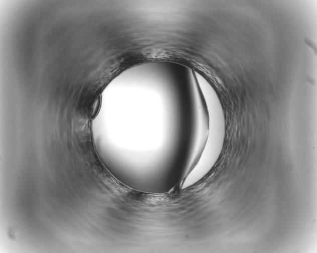 X0000093160521200710241022