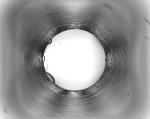 X0000093160522200710241022