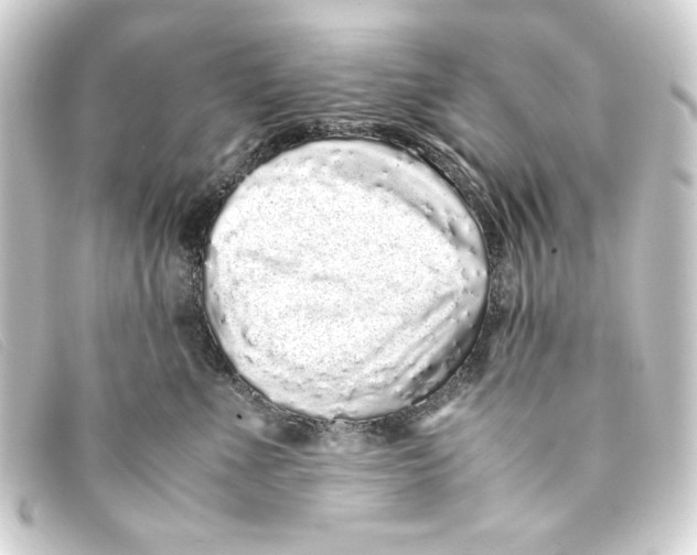 X0000093160523200710241022