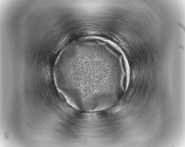 X0000093160524200710241022