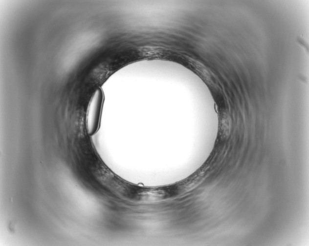 X0000093160525200710241022