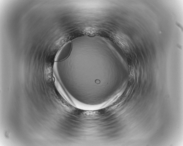 X0000093160526200710241022