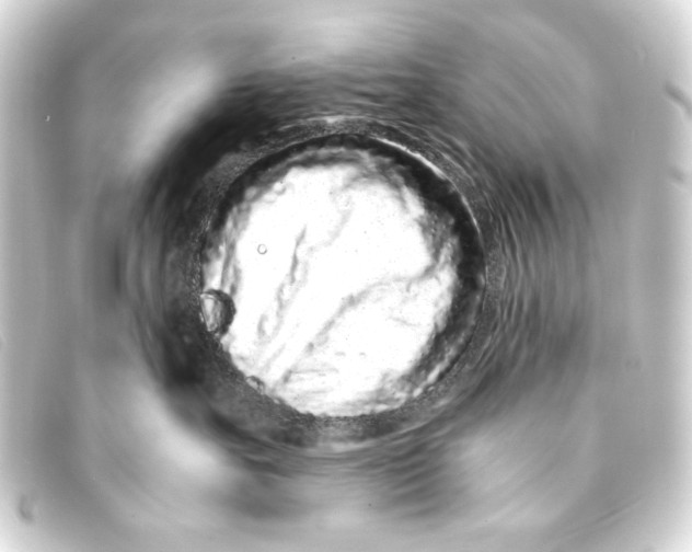 X0000093160527200710241022