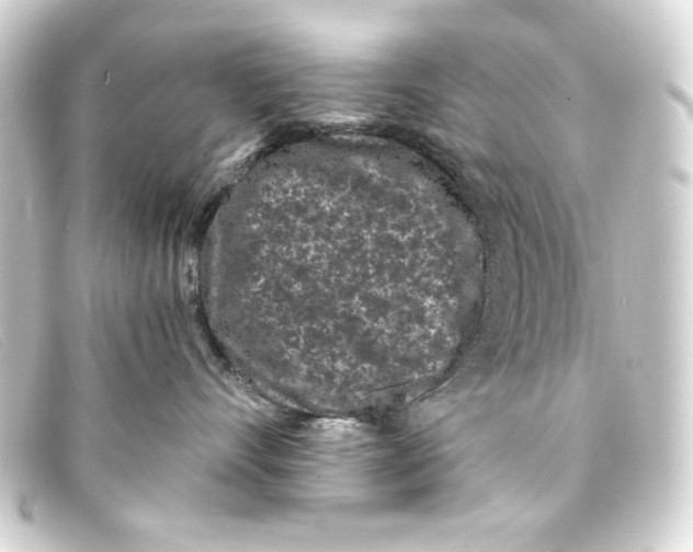 X0000093160528200710241022