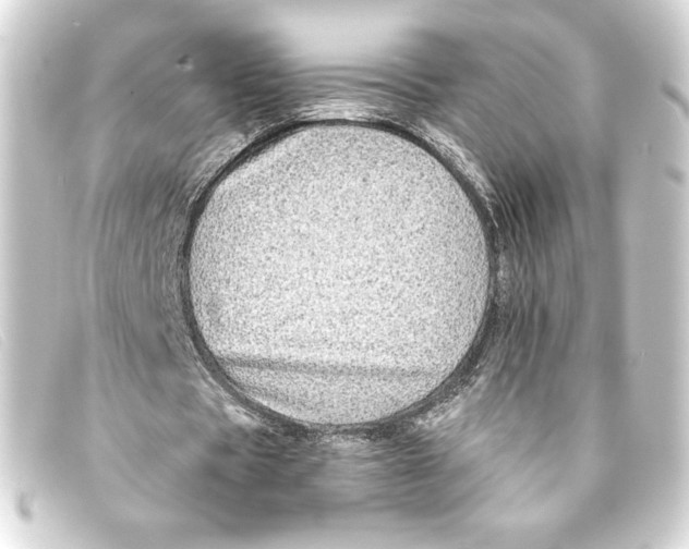X0000093160529200710241022