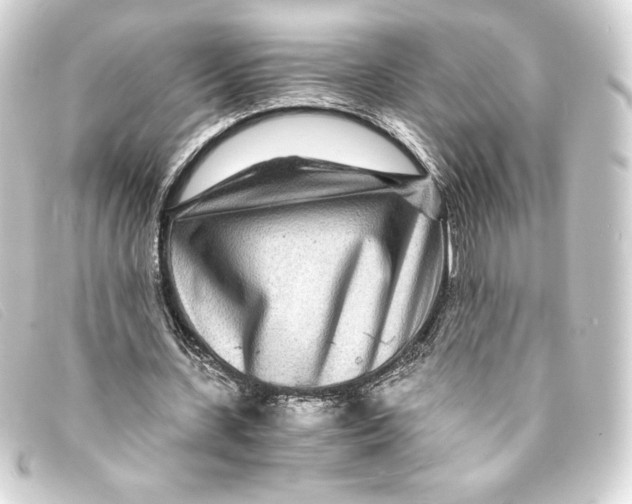 X0000093160531200710241022