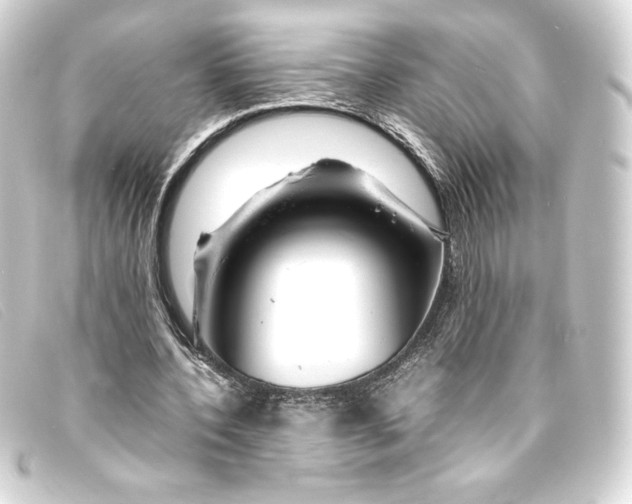 X0000093160532200710241022