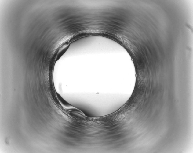 X0000093160535200710241022