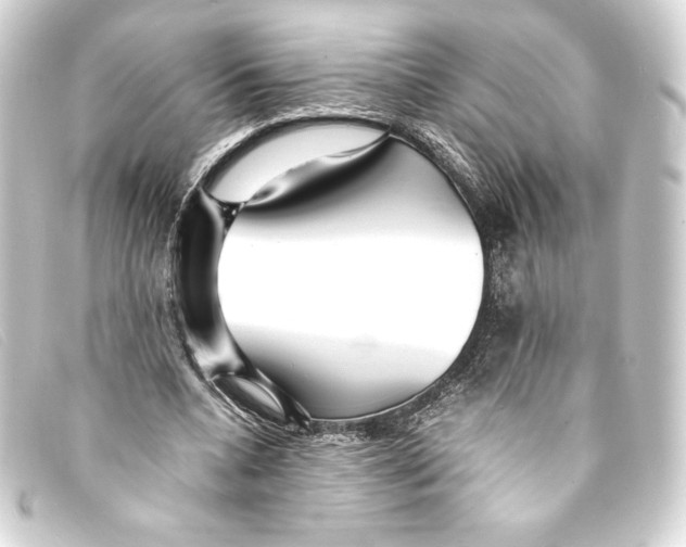 X0000093160536200710241022