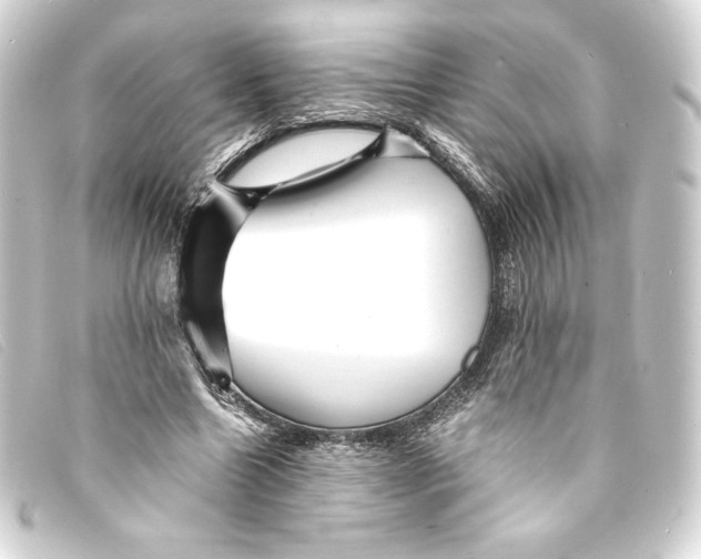 X0000093160538200710241022
