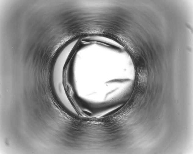 X0000093160539200710241022