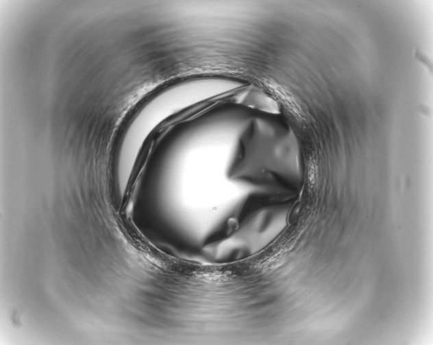 X0000093160540200710241022