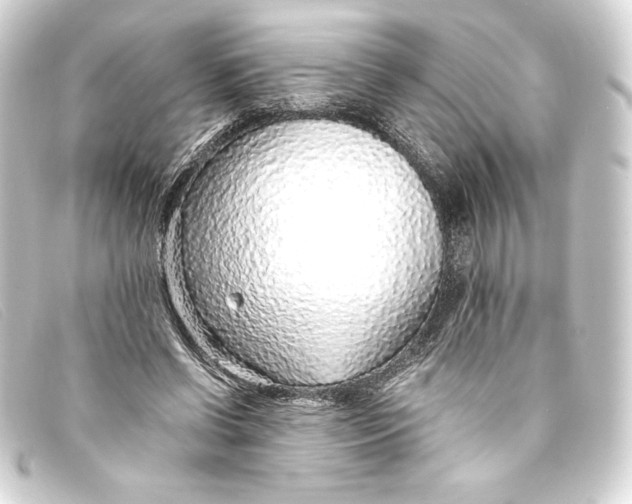 X0000093160542200710241022