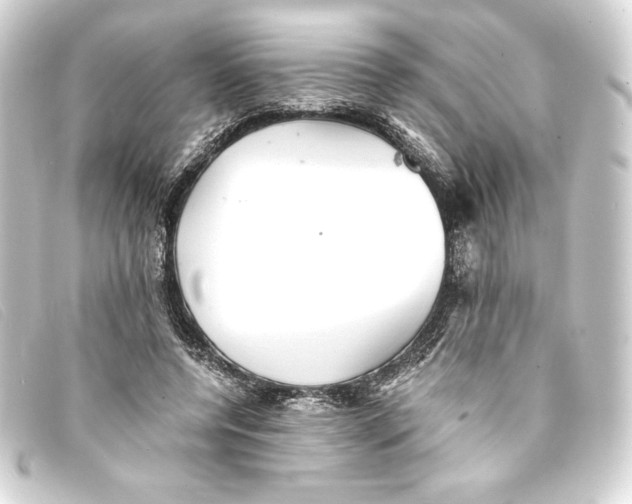 X0000093160544200710241022
