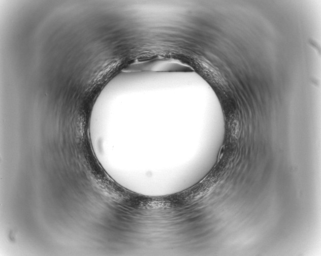 X0000093160546200710241022