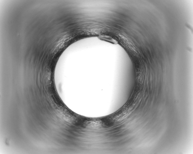 X0000093160548200710241022