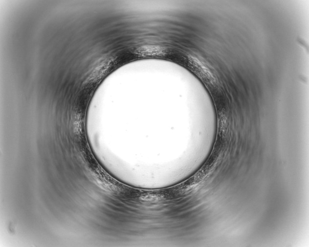 X0000093160549200710241022