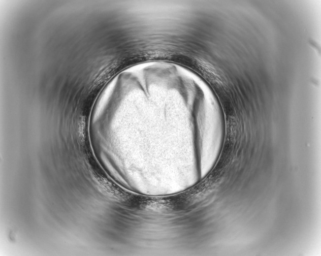 X0000093160550200710241022